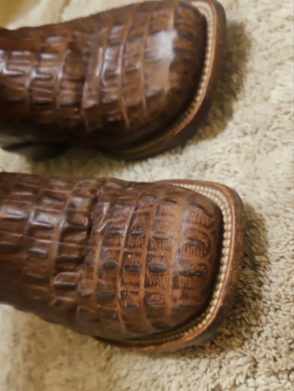 HP rich croc
